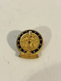 Vintage Military Pin