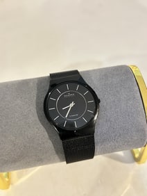 Vintage Skagen Titanium Black Dial mesh band Watch works great!!! 233LTMB