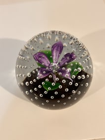 Vintage Caithness Glass Paperweight - Limited Edition " Flower in the Rain "
