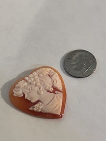 Vintage Cameo Shell