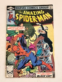 Vintage Comic Book Amazing Spider-Man # 204