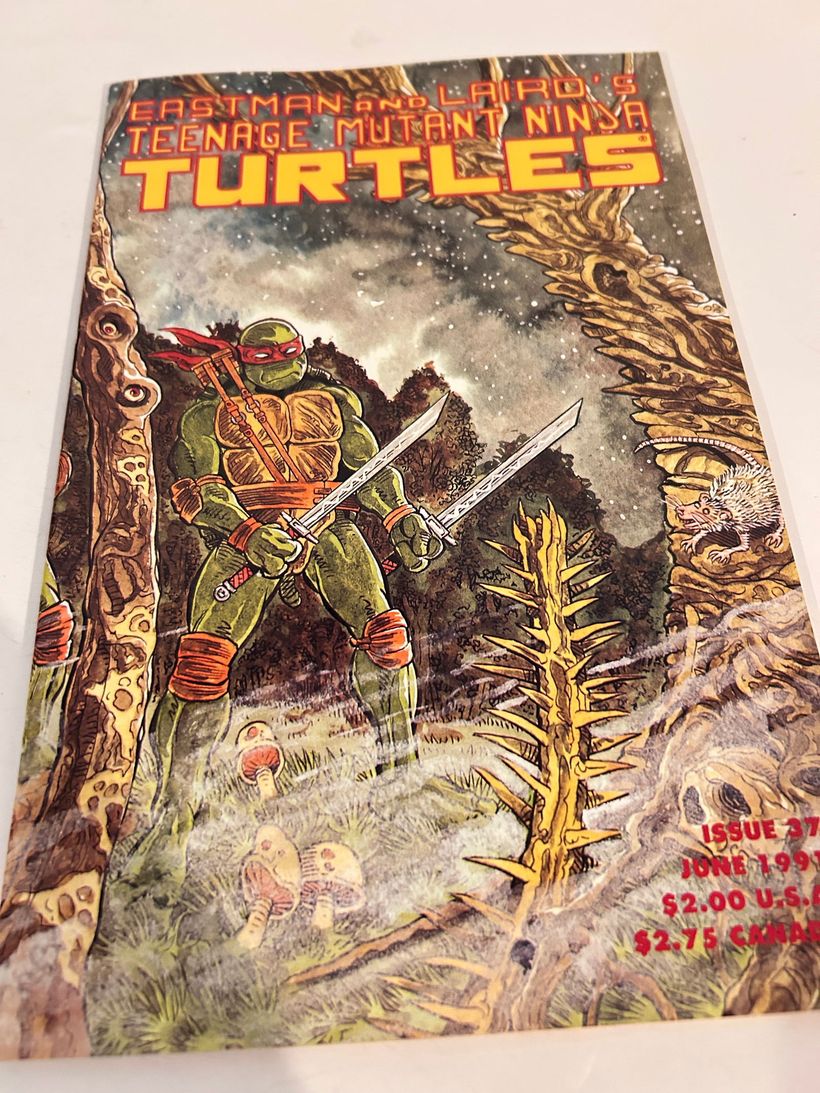 Vintage Comic Book Eastman Teenage Mutant Ninja Turtles # 37 (1 of 2)