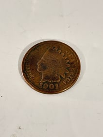 Vintage Indian head penny 1901