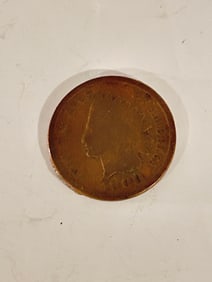 Vintage Indian head penny 1900