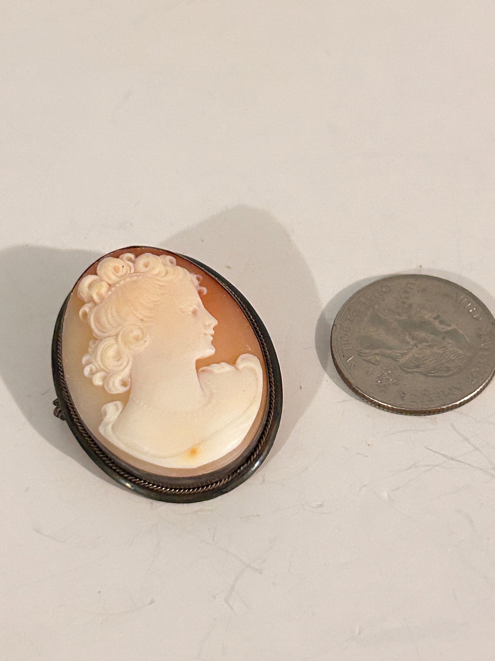 Vintage 800 Cameo Silver Brooch: Vintage 800 Cameo Silver Brooch Please view all photos as they are part of the description and condition of this Item, Feel free to contact me with questions or picture requests! Used Item AS IS