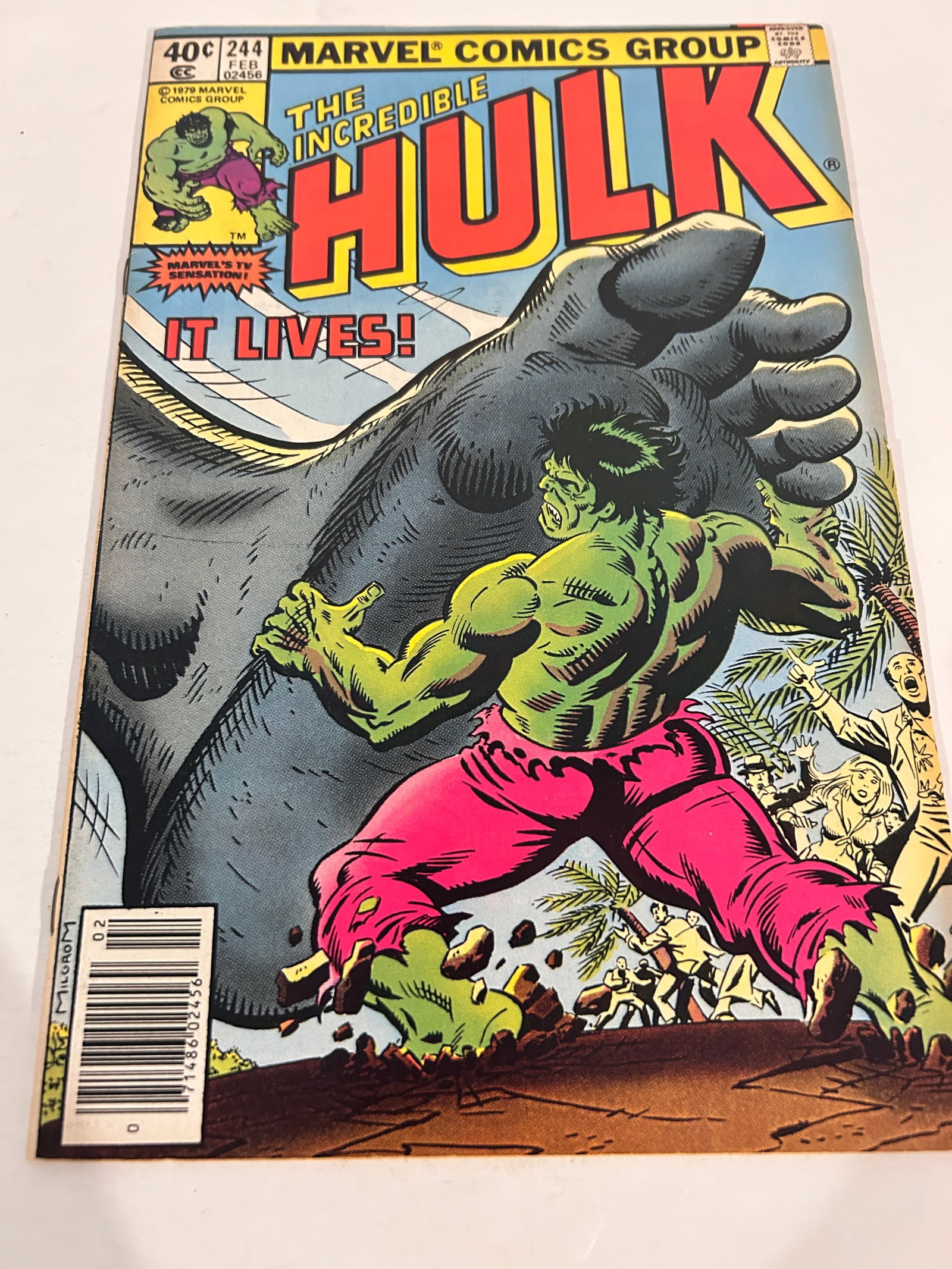 Vintage Comic Book Incredible Hulk # 244: Vintage Comic Book Incredible Hulk # 244 Please view all photos as they are part of the description and condition of this Item, Feel free to contact me with questions or picture requests! Used Item AS