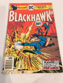 Vintage Comic Book Black Hawk # 246