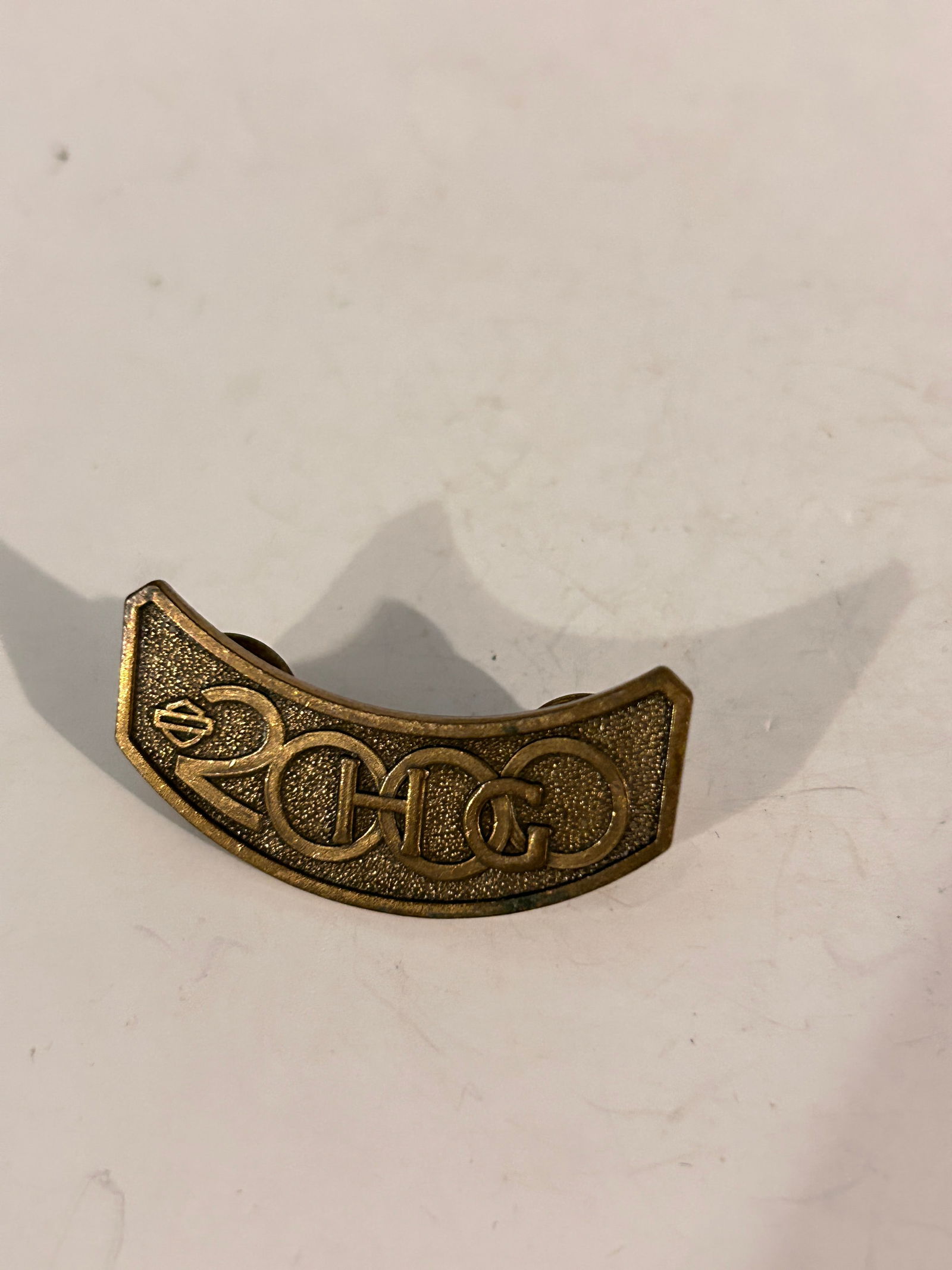 Harley Davidson 2000 Owners Group HOG Patch 2000 HOG PIN: Item comes exactly as shown Know what you are bidding on. Carefully refer to and examine all photos, ask questions, do research, etc., to determine (Authinticity) . before bidding in order to determin