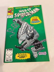 Vintage Comic Book Web of Spider-man # 100