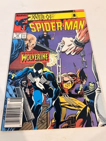 Vintage Comic Book Web of Spider-man # 29