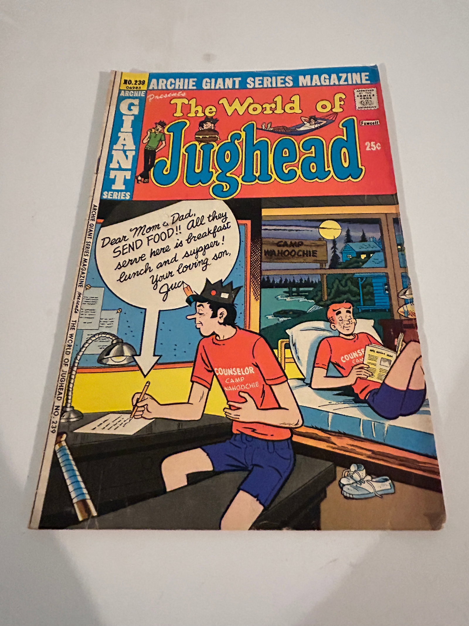 Vintage Comic Book The World of Jughead # 239: Vintage Comic Book The World of Jughead # 239 Please view all photos as they are part of the description and condition of this Item, Feel free to contact me with questions or picture requests! Used It