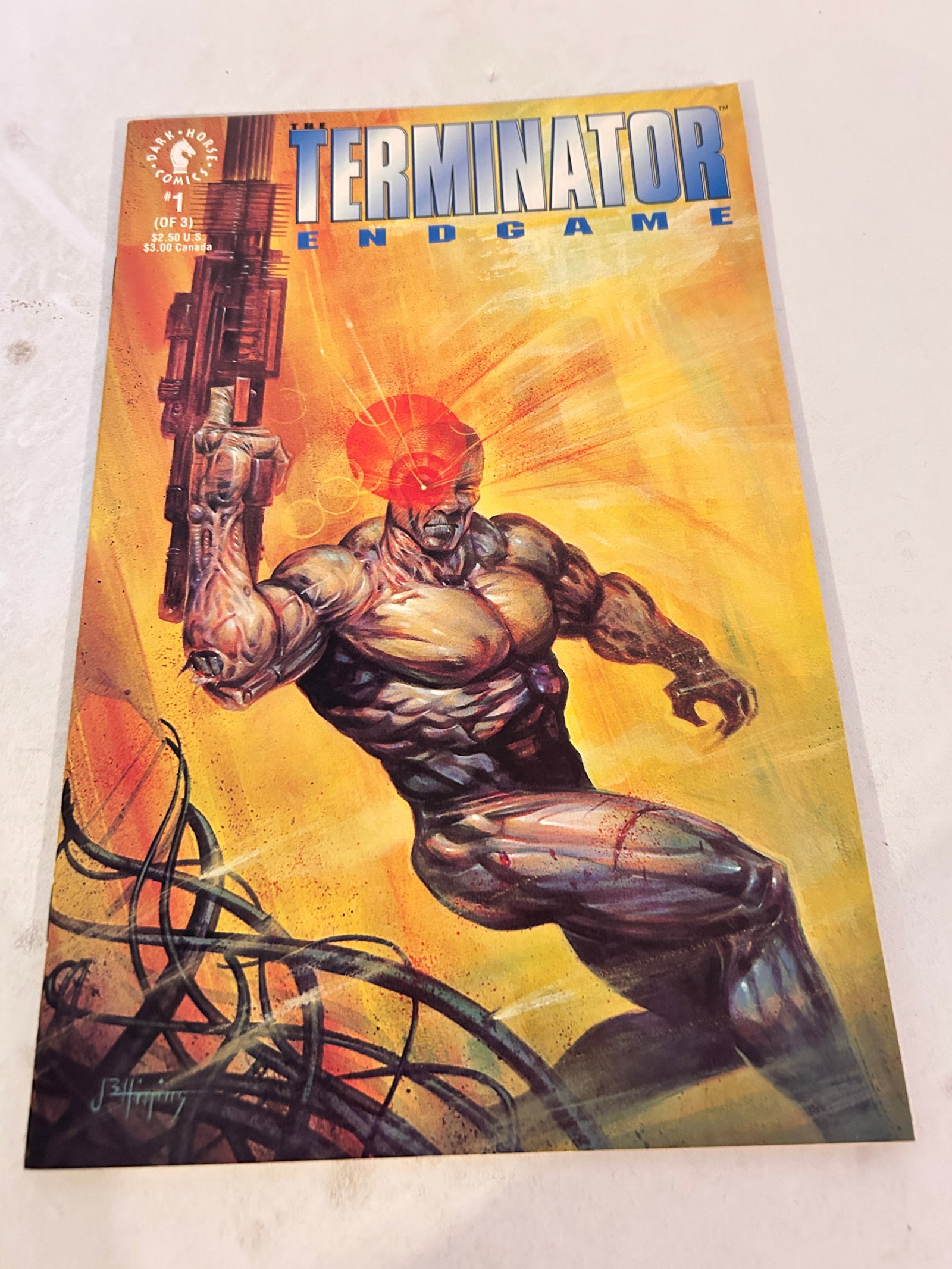 Vintage Comic Book the Terminator End Game # 1: Vintage Comic Book the Terminator End Game # 1 Please view all photos as they are part of the description and condition of this Item, Feel free to contact me with questions or picture requests! Used I