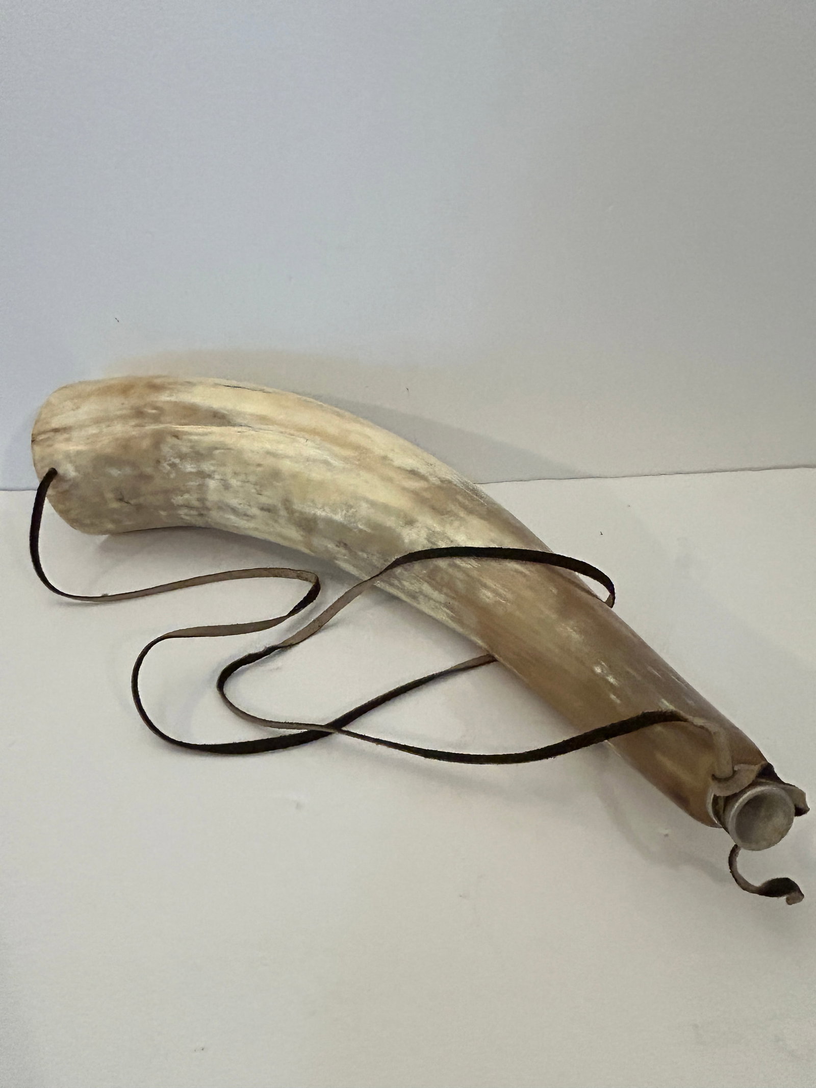 Vintage Bull Steer Blowing Horn 21" (1 of 4)