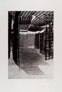 Cristina Iglesias. Estudio-Pasillo suspendido XVI: IGLESIAS,CRISTINA (1956). "Estudio-Pasillo suspendido XVI (2007)". Aguafuerte y fotograbado sobre papel Somerset. Firmado en el ángulo inferior derecho. Numerado (76/100) en el ángulo inferi