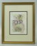 Etching, signed, Salvador Dali