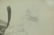 Russian Ink on Paper, 19th Century - 4