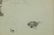 Russian Ink on Paper, 19th Century - 5