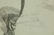 Russian Ink on Paper, 19th Century - 6
