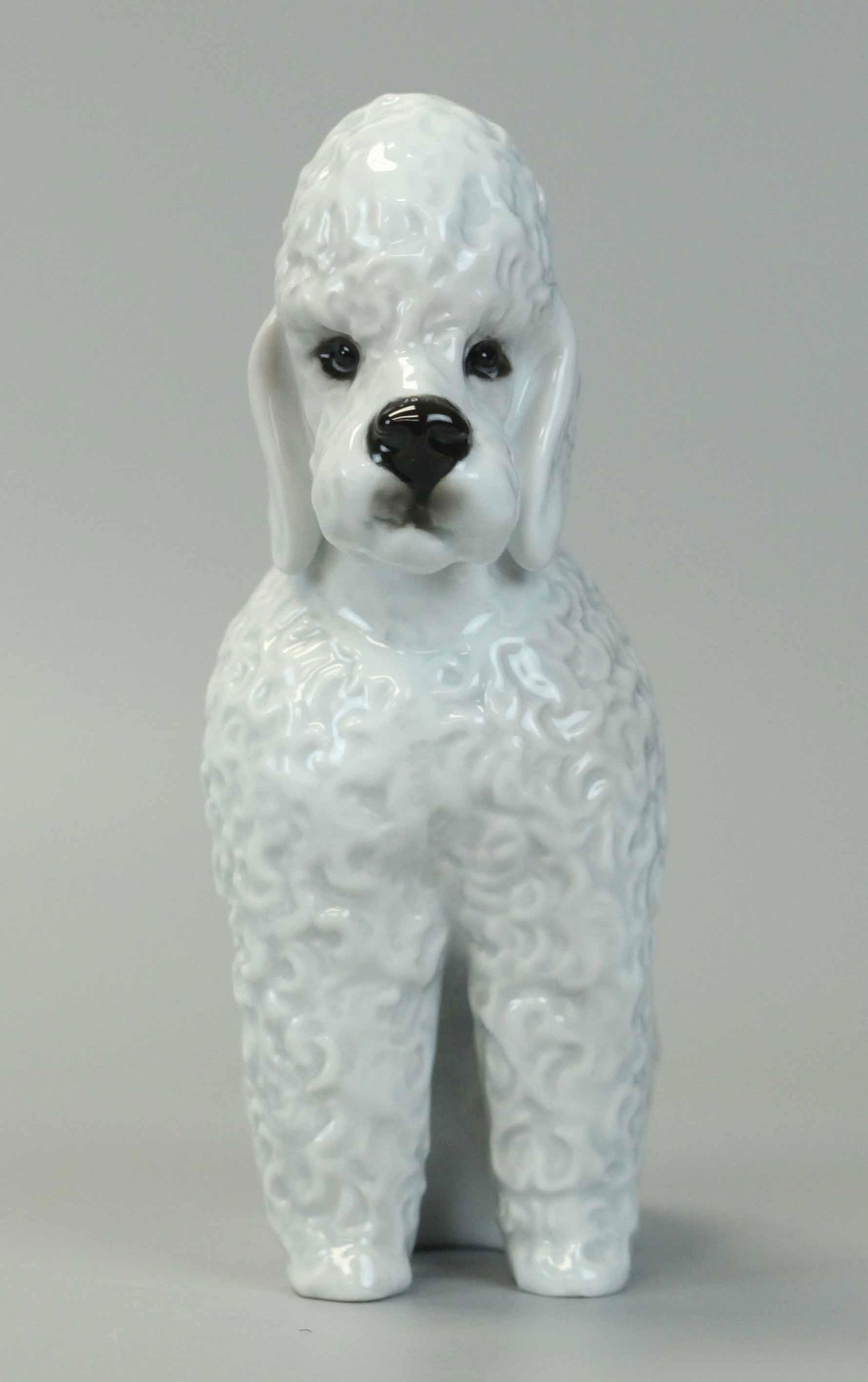 Rosenthal Porcelain Dog, Germany (1 of 7)