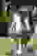 item-103453099=2