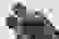 item-103453364=4