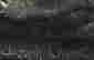 item-130939029=8