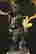 item-130939037=6