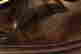 item-130939221=10