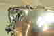 item-130939225=4