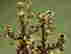 item-130939226=7