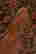 item-86201457=3