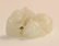 A Chinese Carved White Jade Decoration,Qing Dynasty - 4