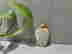 item-87237570=2