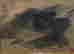 item-116694792=3