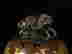 item-117182955=7