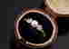 item-121387008=2