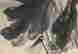 item-121387009=6