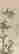 item-121387010=2