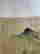 item-128354661=2