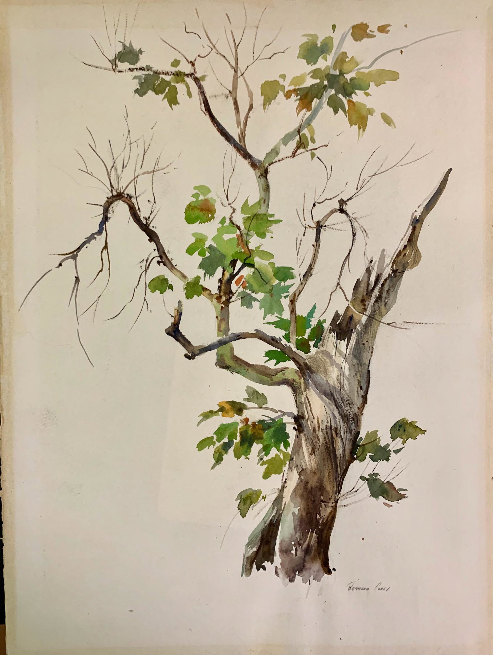 Bernard Corey, American Artist, signed watercolor: Bernard Corey, American Artist, signed watercolor, sheet size 15 x 11"