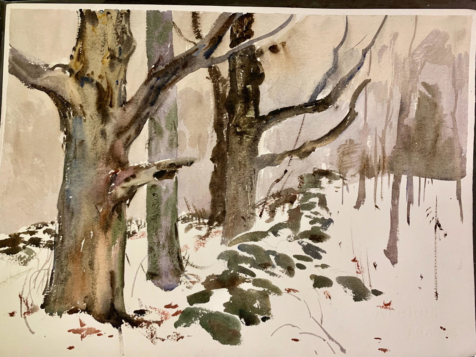 Bernard Corey Watercolor, estate certification: Bernard Corey Watercolor, estate certification, sheet size, 11 x 15"
