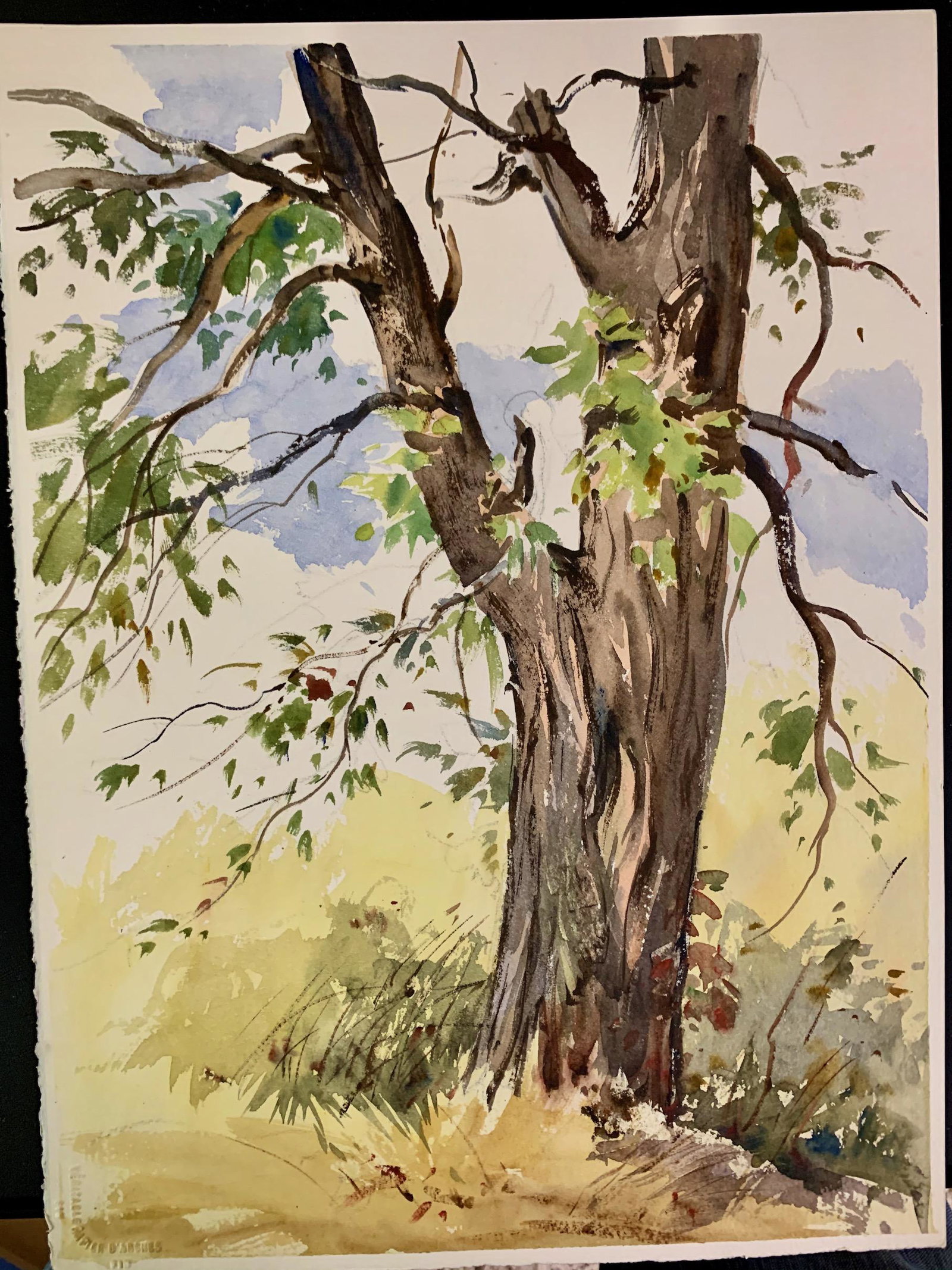 Bernard Corey Watercolor, estate certification: Bernard Corey Watercolor, estate certification, sheet size 15 x 11"Bernard Corey was a plein-air landscape painter who was born in Grafton, Massachusetts where he lived most of his life. He was recogn