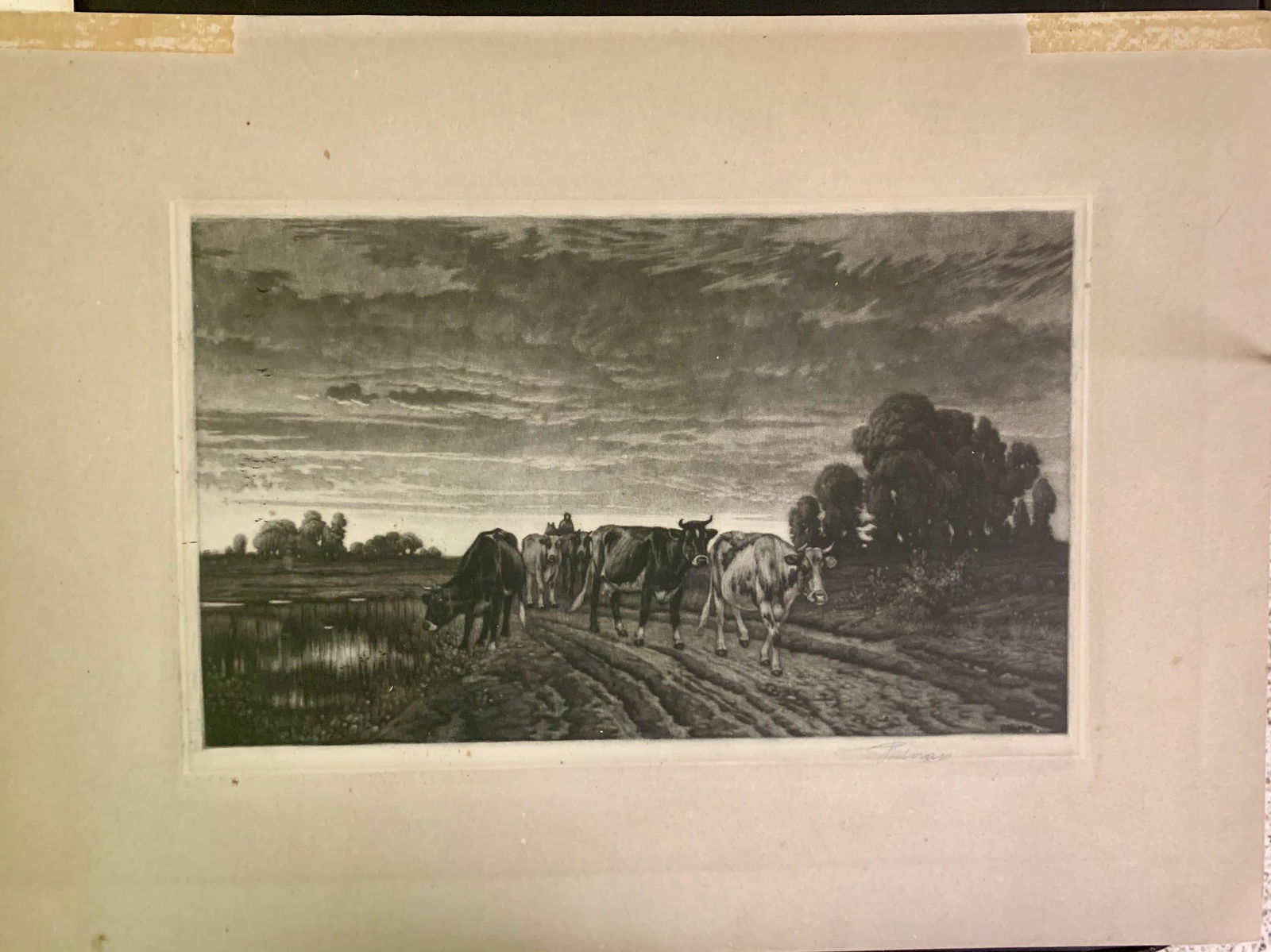 Peter Moran, pencil signed Mezzotint, Cattle: Peter Moran, pencil signed Mezzotint, image size, 7 3/4 x 12 3/4", Cattle, "Country Road with Cattle" Peter Moran (1841- 1914) was born in Lancashire England. His family emigrated to the United States
