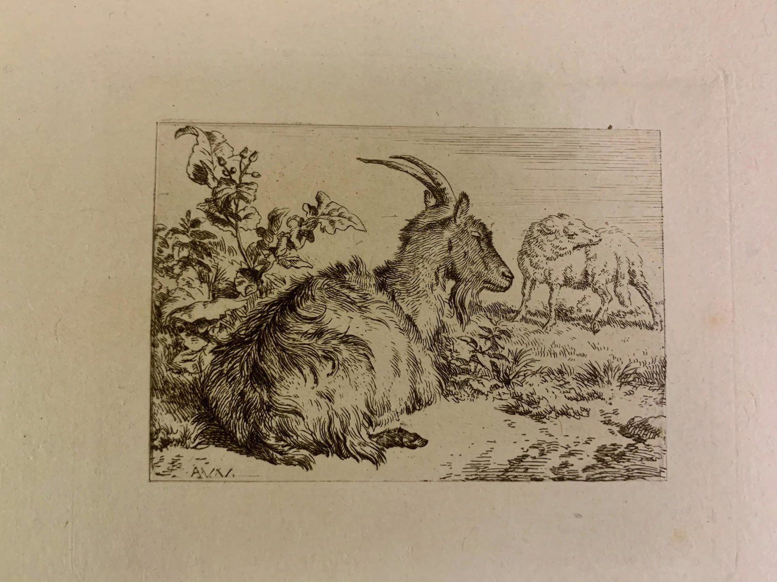 Adriaen van de Velde, Dutch Artist, etching: Adriaen van de Velde, Dutch Artist, etching, image size, 2 3/4 x 3 3/4"