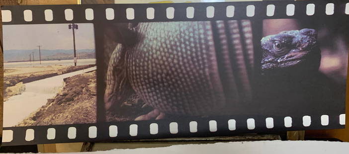 Tacita Dean, British Artist, Offset Lithograph: Tacita Dean, British Artist, Offset Lithograph, , sheet size, 12 x 30", JG Offset, 2013, for Dan Dietrich Tacita Charlotte Dean CBE, RA (born 1965) is a British visual artist who works primarily in fi