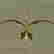 item-91506847=3