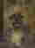 item-95109269=3