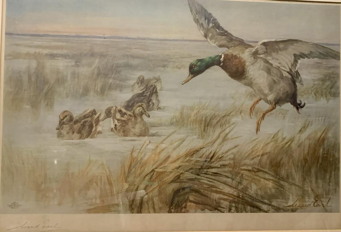 Maud Earl, signed print of Ducks, British artist (1 of 5)