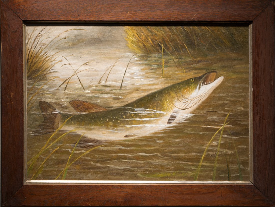 Antique American Sporting Art Pike Fishing Oil Painting: Antique American sporting art oil painting of a northern pike. Oil on canvas, circa 1890. Unsigned. Image size, 12H x 16 1/2L