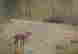 item-97838617=3